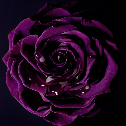 LA NUIT TRESOR EDP